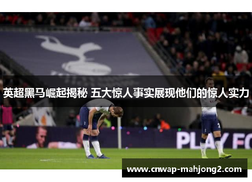 英超黑马崛起揭秘 五大惊人事实展现他们的惊人实力