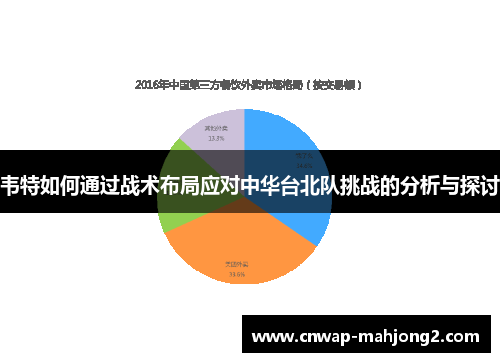 韦特如何通过战术布局应对中华台北队挑战的分析与探讨