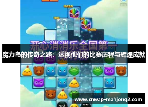 魔力鸟的传奇之路:透视他们的比赛历程与辉煌成就 魔力鸟的传奇之路:透视他们的比赛历程与辉煌成就