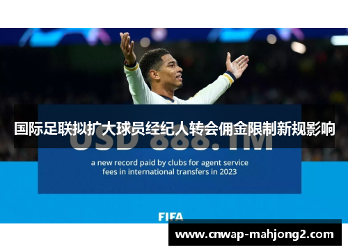 国际足联拟扩大球员经纪人转会佣金限制新规影响 国际足联拟扩大球员经纪人转会佣金限制新规影响