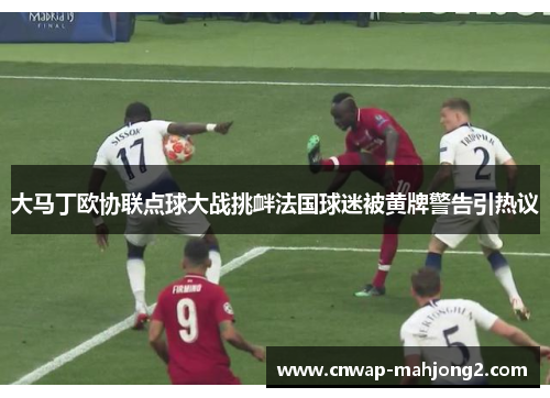 大马丁欧协联点球大战挑衅法国球迷被黄牌警告引热议
