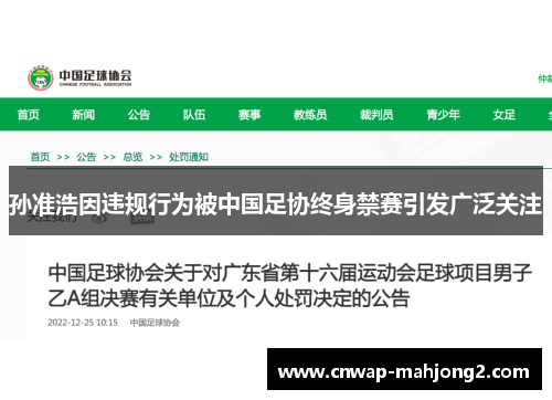 孙准浩因违规行为被中国足协终身禁赛引发广泛关注
