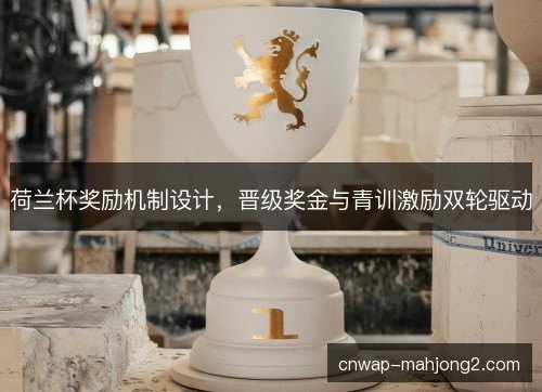 荷兰杯奖励机制设计，晋级奖金与青训激励双轮驱动